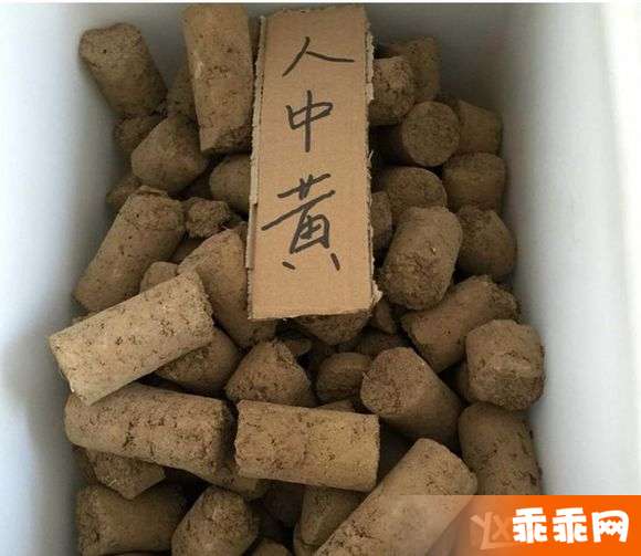 中药中的人中黄,制作方法是将甘草末置竹筒内,于人粪坑中浸渍一定时间