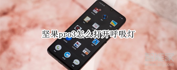 坚果pro3呼吸灯怎么打开 打开呼吸灯教程