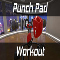 拳击训练(Punch Pad Workout)VR版 