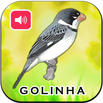 戈林哈州Canto De Golinha
