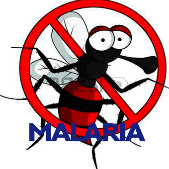 疟疾Malaria Disease