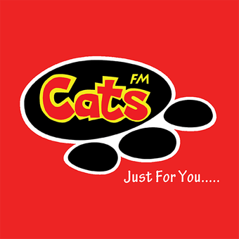 猫调频Cats FM