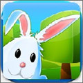 3D兔子迷宫冒险