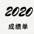 2020年上半年成绩单