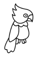 qq画图红包鹦鹉怎么画？