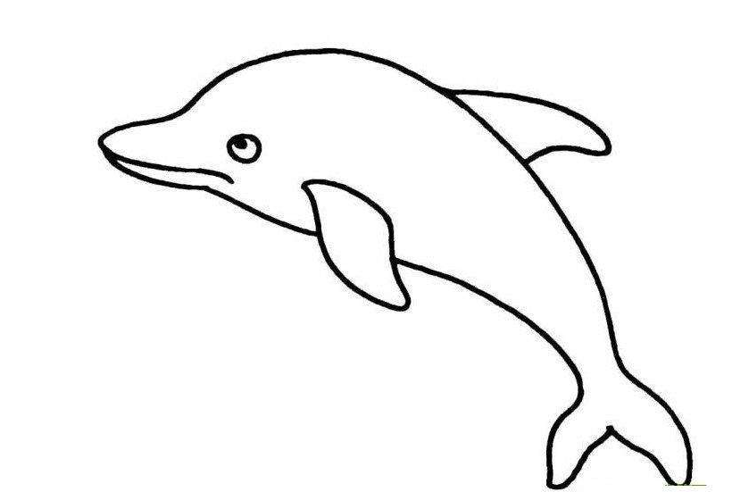 qq红包海豚怎么画？