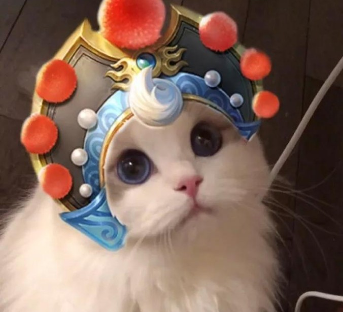 王者荣耀梦奇猫咪头像高清图片