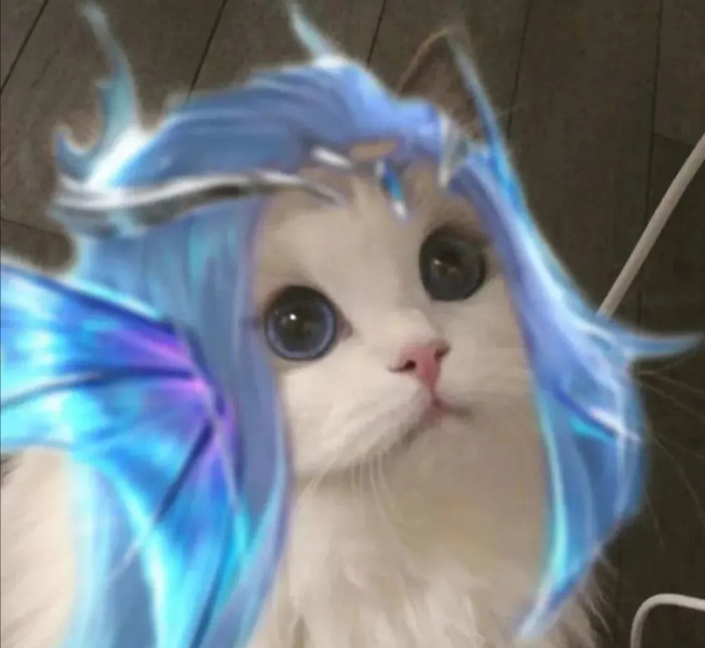 王者荣耀武则天猫咪头像高清图片