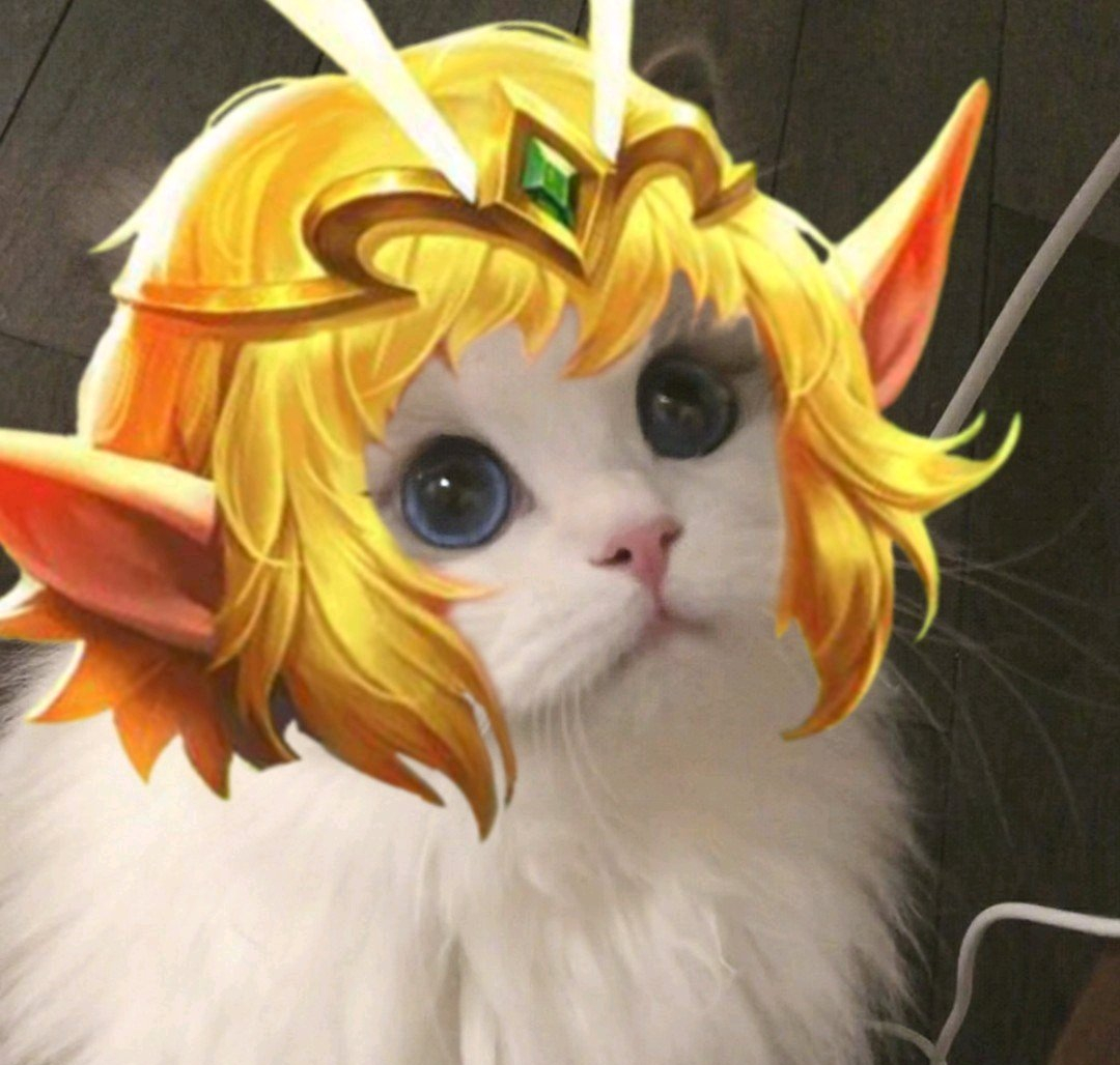 王者荣耀五黑猫咪接头头像高清图片