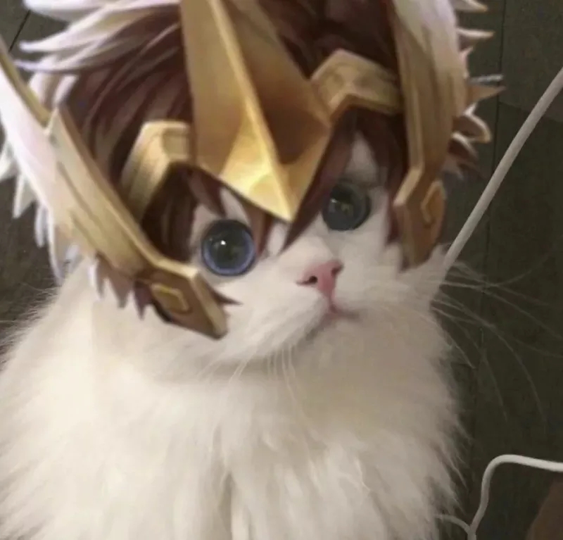 王者荣耀猫咪射手接头大全