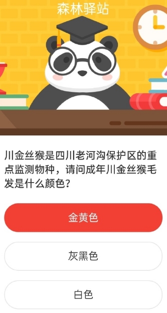 川金丝猴是四川老河沟保护区的重点监测物种，请问成年川金丝猴毛发是什么颜色