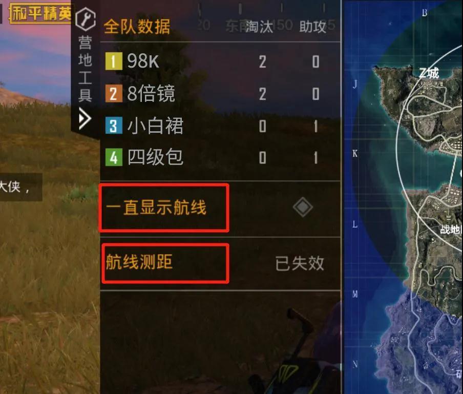 和平精英全队数据功能是什么