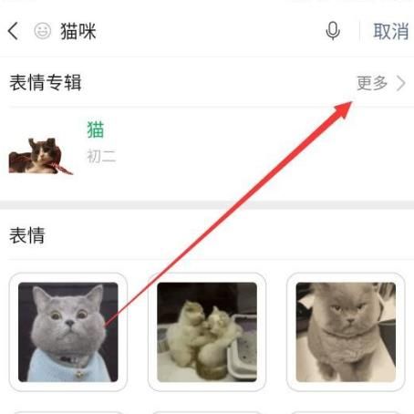 微信如何获得猫咪表情包