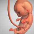怀孕宝宝模拟器手游