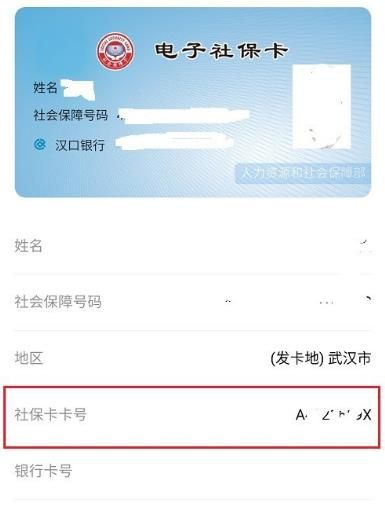 如何查自己的社保卡号