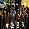 Professional Team