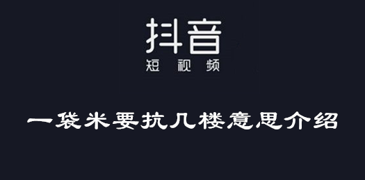 抖音一袋米要抗几楼意思介绍