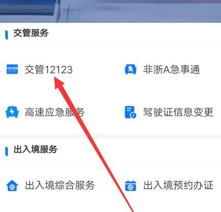 支付宝怎么查驾驶证的清分日期