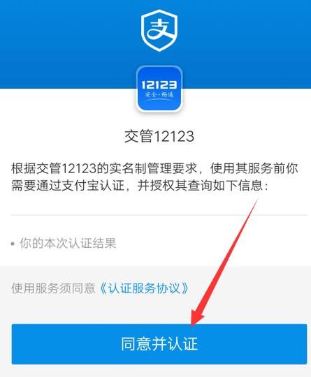 支付宝怎么查驾驶证的清分日期