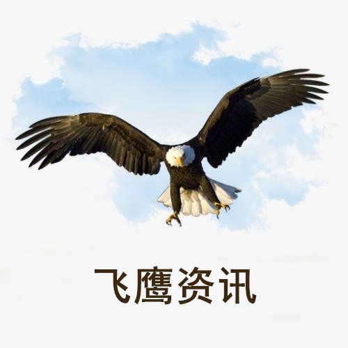 飞鹰资讯app