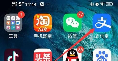 如何查看我的支付宝的消费记录