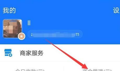 如何查看我的支付宝的消费记录