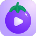 茄子app视频安卓