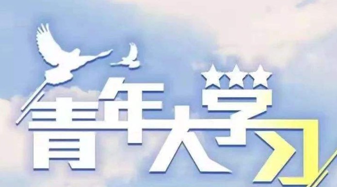 青年大学习第十季第五期课后习题答案