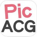 picacg3.3.4