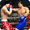 Tag Boxing拳击明星冠军3D