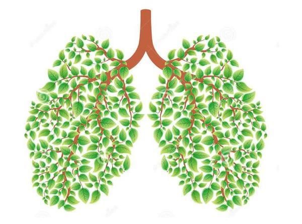 肺部健康测试是什么梗