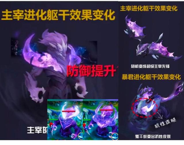 王者荣耀英雄排行榜s22