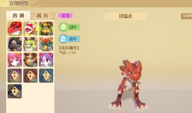 梦想新大陆怎么捕捉宠物