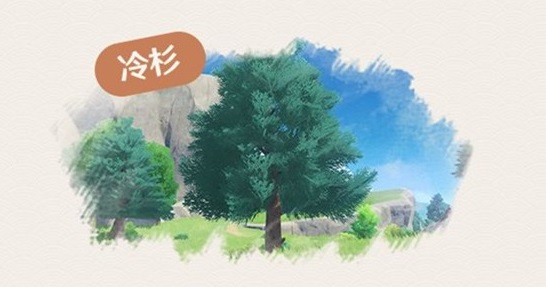 原神杉木在哪里怎么采集