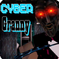 奶奶cyber