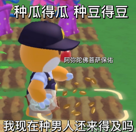 摩尔庄园手游表情包大全