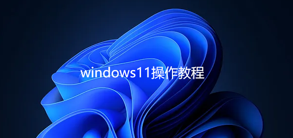 Windows11安装使用方法