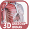 人体解剖3D