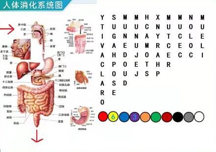 犯罪大师密室逃脱答案是什么？八月竞技赛场密室逃脱答案一览[多图]图片3