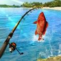 钓鱼冲突3D钓鱼运动