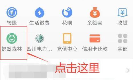 支付宝车辆停驶没有了吗？2021车辆停驶能量领取方法教程[多图]图片5