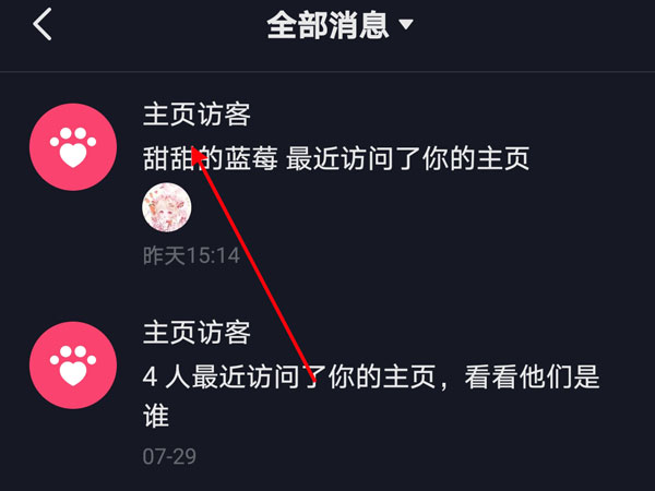 抖音如何设置访客记录？