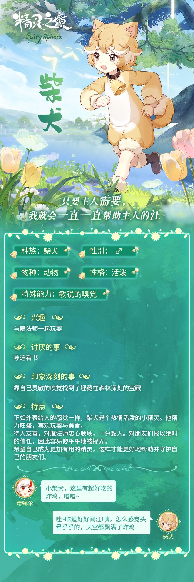 精灵之境柴犬立绘图鉴