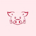猪猪动漫