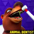 Dentist Animal Bling Doctor