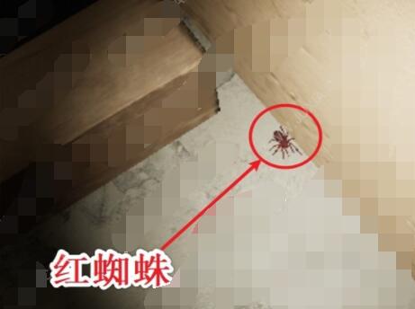 孙美琪疑案英杰三级线索红蜘蛛