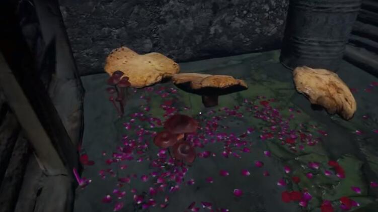 孙美琪疑案迷宫四级线索巨型蘑菇
