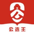 公选王app