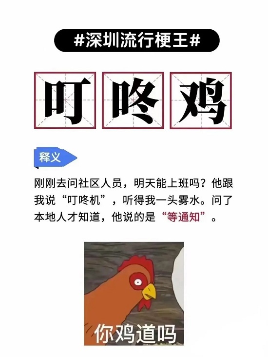 叮咚鸡是什么梗