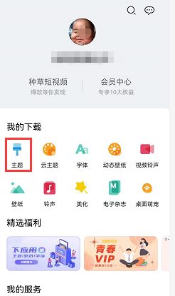 华为ios13主题怎么设置？华为手机ios13主题设置教程[多图]图片2